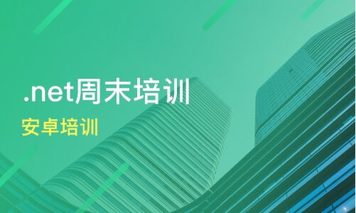 杭州安卓培训费用与优质机构推荐 海文国际与淘学培训对比分析